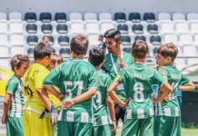 UMA PARTE DA HISTÓRIA DE CLÉSIO