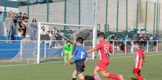 EMBALADOS POR TOMÁS