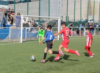 EMBALADOS POR TOMÁS